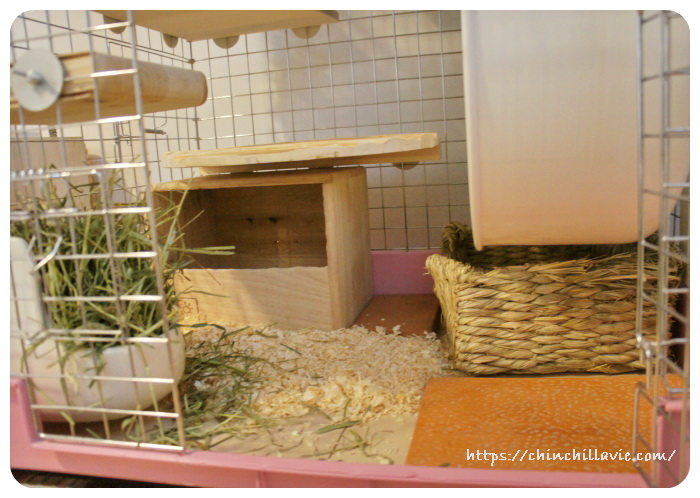 よくオシッコをする場所を中心にウッドチップを敷くエリアを拡大したチンチラケージ