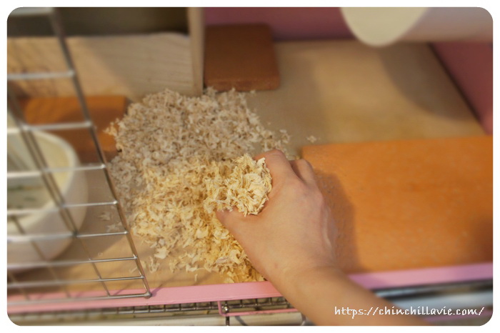 チンチラのティモのケージをお掃除している様子