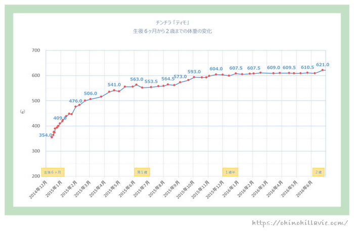 チンチラのティモの成長期　体重の変化（生後６ヶ月から２歳までのグラフ）
