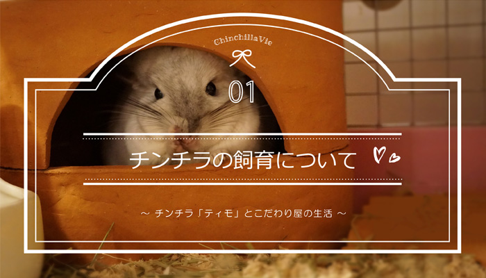 ChinchillaVie　～チンチラ「ティモ」とこだわり屋の生活 ～