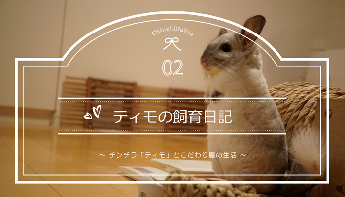 ChinchillaVie　～ チンチラ「ティモ」とこだわり屋の生活 ～