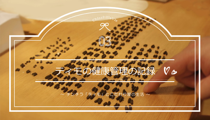 ChinchillaVie　～ チンチラ「ティモ」とこだわり屋の生活 ～