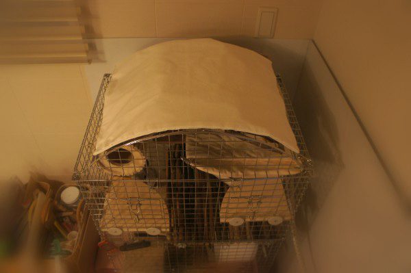 チンチラのティモのケージレイアウト　ケージ屋根カバーは手作り