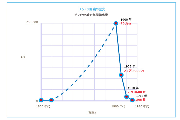 チンチラ乱獲の歴史 チンチラ毛皮の年間輸出量を示すグラフイメージ