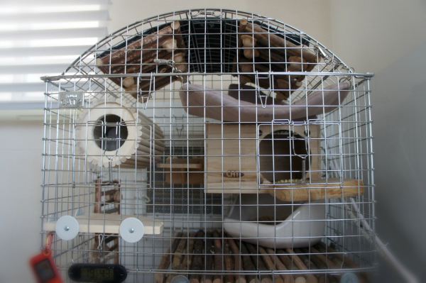 チンチラのティモのケージレイアウト　２Ｆのくつろぎ空間　2016年ＷＩＮＴＥＲバージョン