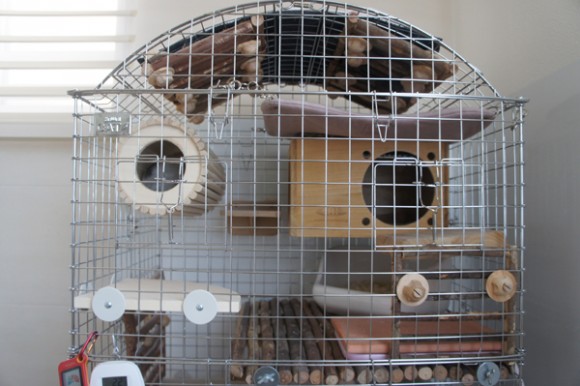 chinchillavie マルカン ほっとうさ暖リバーシブルヒーターをケージに設置