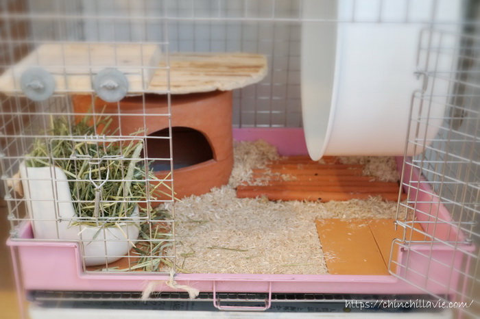 チンチラのティモのケージの床環境