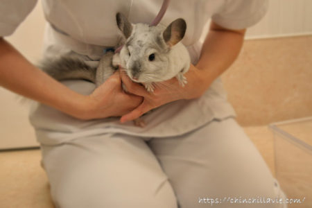 「みわエキゾチック動物病院」にて初めての健康診断