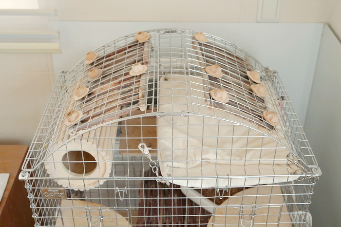 ChinchillaVie | 川井コンフォート60用アーチルーフが2019/02/05より再販開始されました！