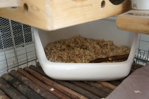 チンチラのティモ カワイ ももバーをハウスから下に放り投げた様子 ティモはももバーが嫌い