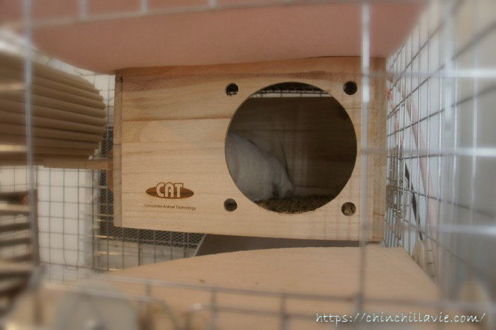 チンチラのための冬の寒さ対策の理想的な方法と注意点