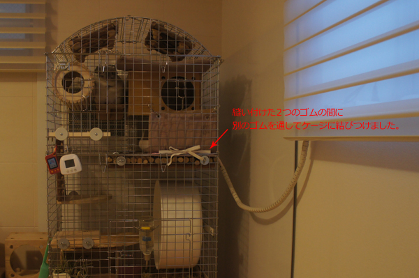 チンチラのティモの寒さ対策 ケージレイアウト さきほどのプラス工房ステージマットとマルカン　リバーシブルヒーターをゴムでまとめたものを、ケージ壁面に紐を通してさらに動かないようにした様子