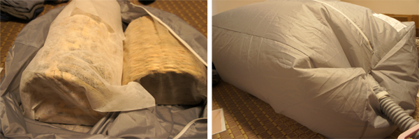 チンチラ「ティモ」の部屋んぽグッズであるカワイ わらっこ倶楽部製品に発生したチャタテムシを退治するべく行動を開始 ふとん乾燥機の最大モードで乾燥を試みている様子