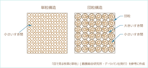 イネ科牧草の豊富な根の周りにある団粒構造のイラスト