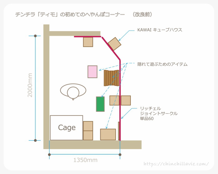 チンチラのティモの初めてのへやんぽコーナー