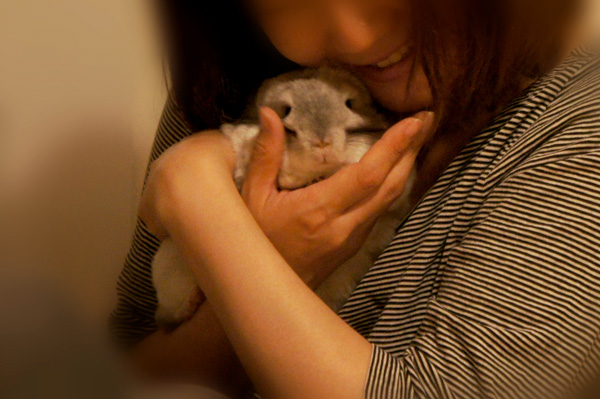 チンチラのティモ chinchilla timo