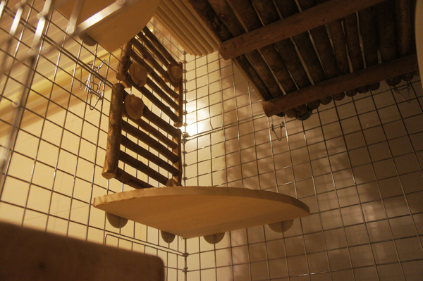 チンチラのティモのケージ カワイのコンフォート60の壁面にがじがじフェンスを取り付けたところ