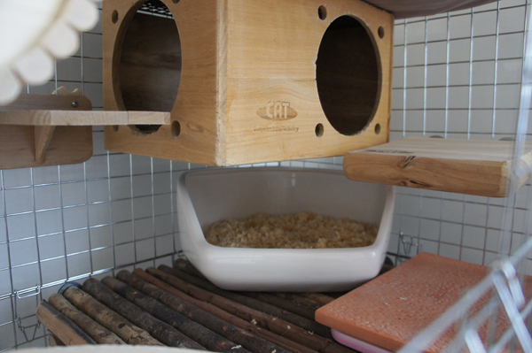 チンチラのティモの寒さ対策 床面を温める