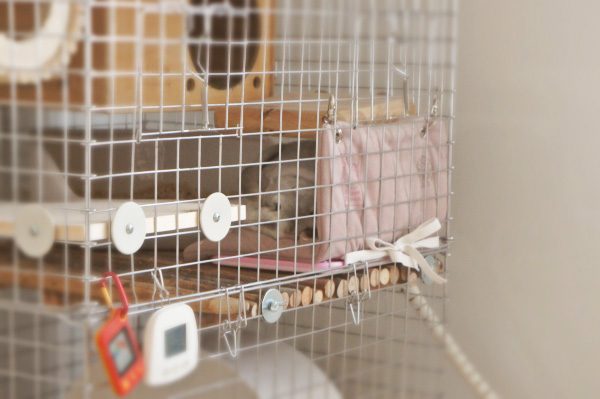 チンチラのティモの寒さ対策　2015年　マルカン　リバーシブルヒーターのケージレイアウト