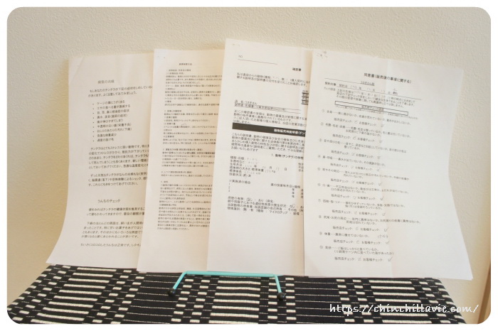 生体売買契約時に「うさぎさん」で用意していた書類