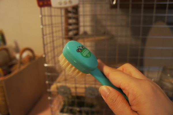 チンチラのティモの鼻の周りが濡れちゃったところをお掃除するために用いた道具 マルカンの小動物専用パウダーブラシ MR-39