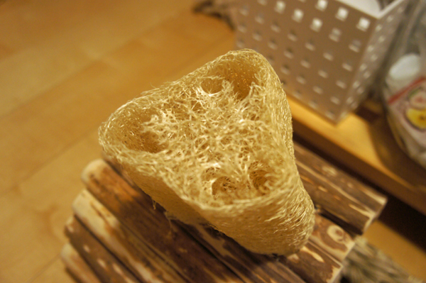 うさぎ星さんで購入したかじって安心へちまさん ビッグ チンチラに安心して与えられるおもちゃ