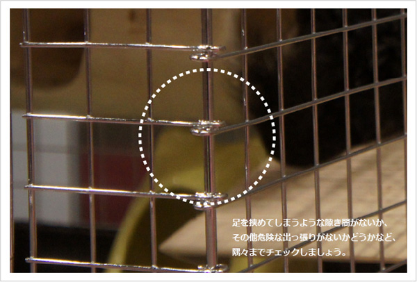 チンチラにとって理想的なケージを選ぶポイント ケージの接合部もチェックしよう