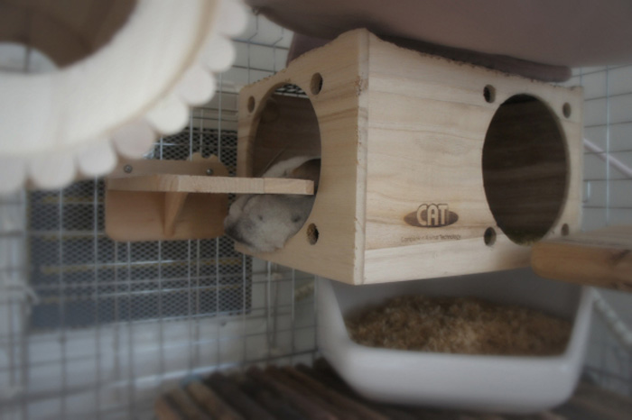 チンチラのティモが喜んだマルカン リバーシブルヒーターのレイアウト フルハウスの上から温かく感じられてぐっすり寝ているティモの様子 チンチラの飼育方法 冬