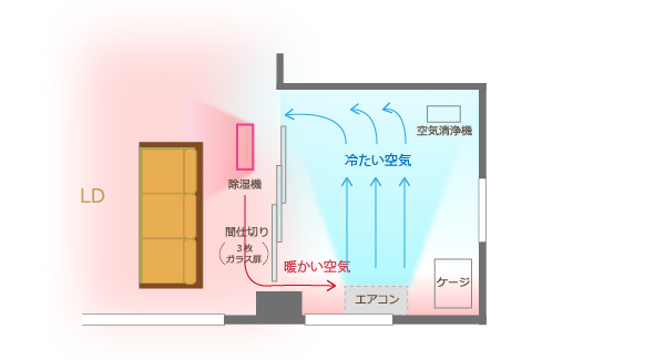 チンチラのための湿度対策 コロナ衣類乾燥除湿機 CD-H1016の運転音の大きさと吹き出す熱気の影響を最小限にするために置き場所を工夫し、空気の流れをつくりました