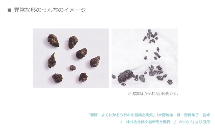 異常な形のうんちのイメージ