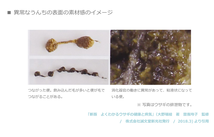 表面の素材感に表れるうんちの異常のイメージ