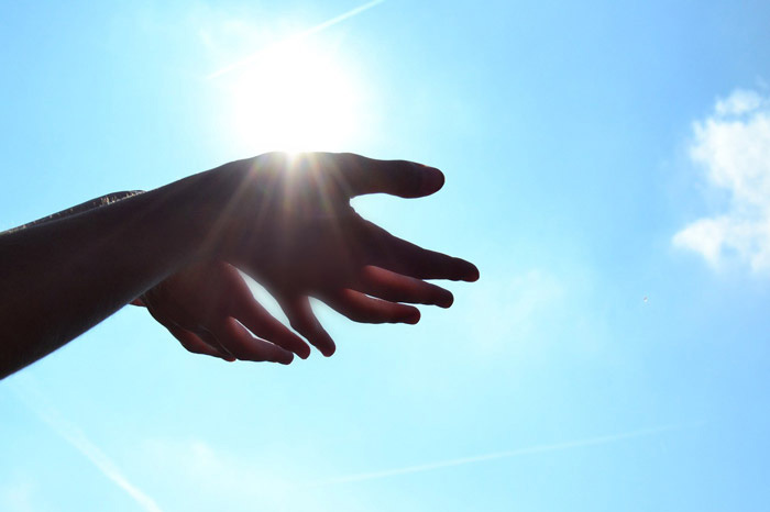 もしもまたチンチラをお迎えするなら鶯谷の「うさぎさん」からお迎えしたいと思ったきっかけ