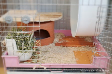 チンチラのティモのケージの床環境