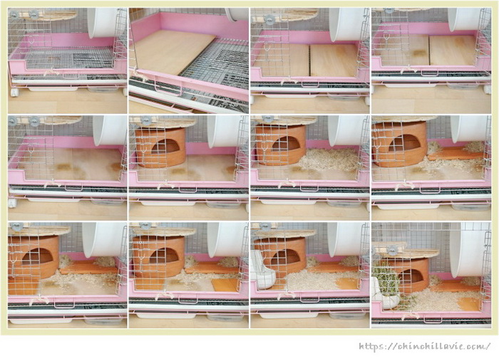 チンチラのティモのケージ床環境を整える手順