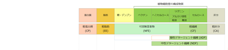 牧草（乾草）の一般成分の分析項目と各分析法に含まれる植物細胞壁の構成物質の関係 見出し