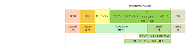 牧草（乾草）の一般成分の分析項目と各分析法に含まれる植物細胞壁の構成物質の関係 見出し