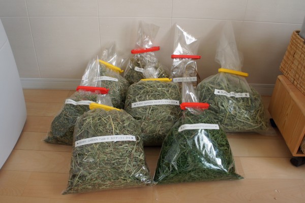 チンチラのティモにいつも与えている牧草