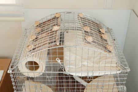 ChinchillaVie | 川井コンフォート60用アーチルーフが2019/02/05より再販開始されました！