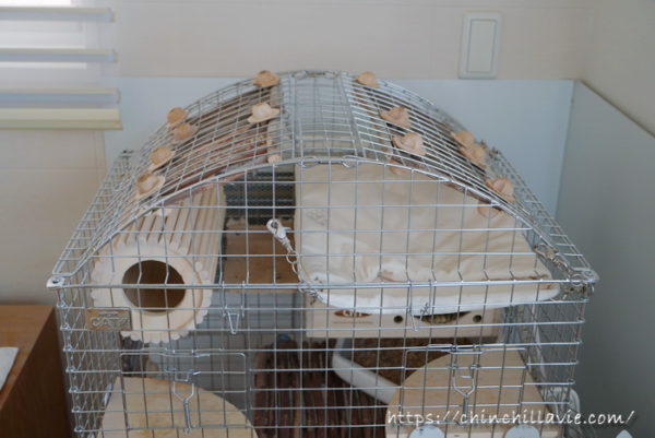 チンチラのティモも愛用している「川井 コンフォート60 アーチルーフ」が2019/2/5より数量限定で再販開始されています!