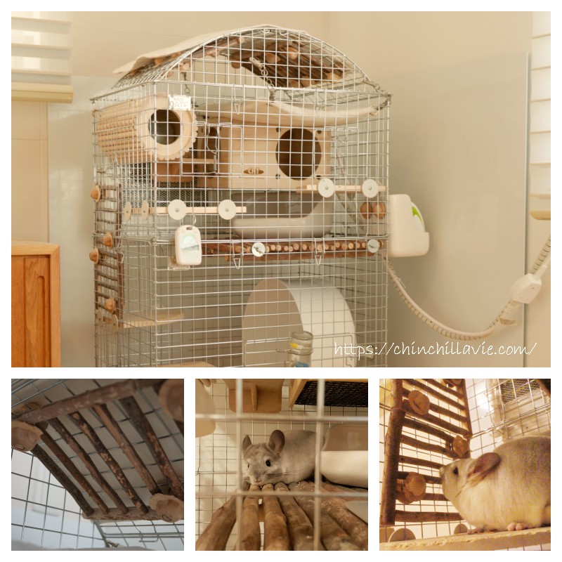 チンチラのティモの『コンフォート60』シリーズのケージでは、ケージ金網の隙間をいたずらしたいと思わないで済むレイアウトを心掛けています。