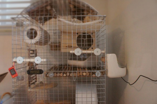 チンチラのティモのケージ　壁面外側にカワイ　牧草ポットに入れてeSensorを設置しました