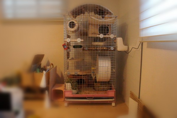 ティモのチンチラケージ　2017年5月バージョン