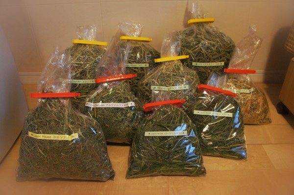 チンチラのティモに与えている牧草のストック