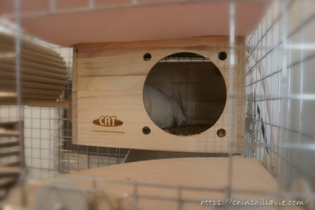 チンチラのための冬の寒さ対策の理想的な方法と注意点