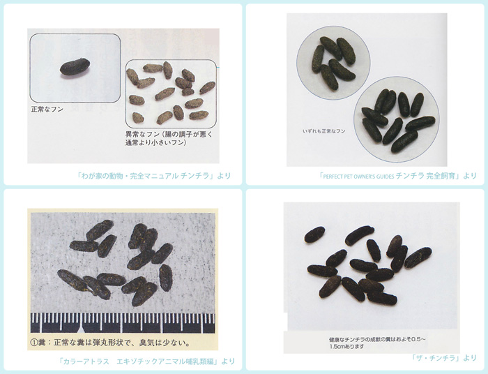 飼育書や獣医学書に掲載されていたチンチラの正常なうんち・糞・フンの写真