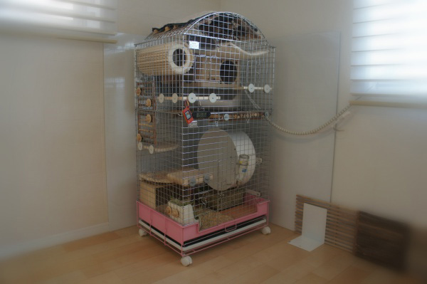 チンチラのティモのケージ　カワイ　コンフォート60ハイルーフタイプ＋タワー＋アーチルーフ