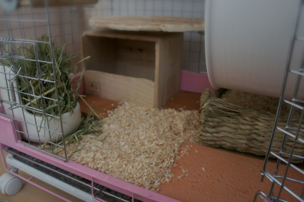 チンチラのティモのケージレイアウト　お迎えする前に準備するものリスト　床材