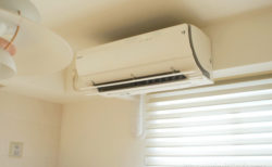 チンチラのための夏対策を見直そう！3つの改善策でティモが涼感グッズを利用しなくなりました