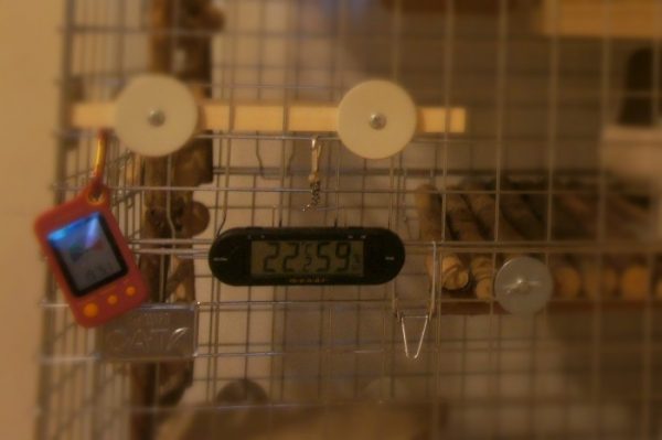 チンチラのティモの温湿度計 2代目 mondi