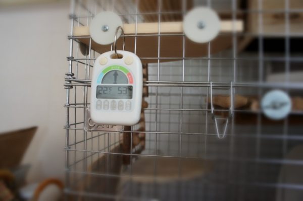 チンチラのティモの現在の温湿度計 ノア精密 デジタル温湿度計 メリー N-025 WH-Z